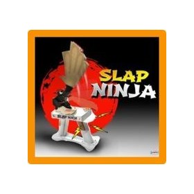 SLAP NINJA