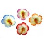 FARFALLE C/PINZETTA SET 2 PZ FIORI