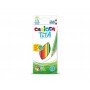 PASTELLI LEGNO X18 CARIOCA