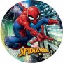 PIATTI GRANDI SPIDERMAN