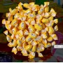 CARAMELLE MIELE 1KG
