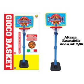 BASKET CON PIANTANA