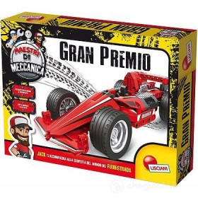 MAESTRI DI MECCANICA FORMULA 1
