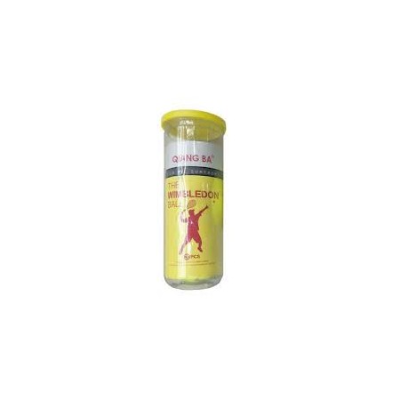 PALLINE TENNIS 3 PZ