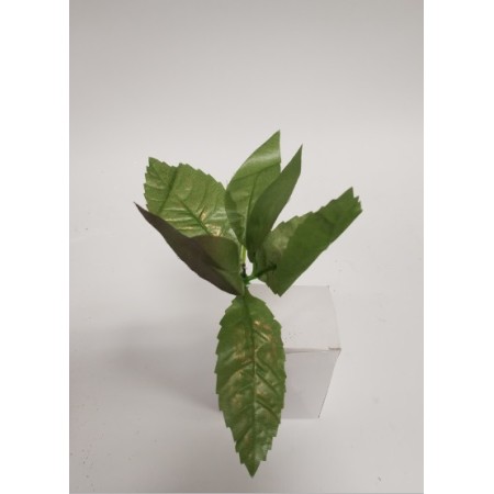 FIORI GAMBO CORTO VERDE