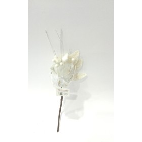 FIORE GAMBO CORTO ASS.