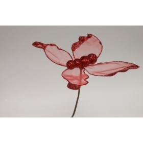 FARFALLA SU GAMBO ROSSO