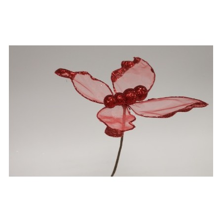 FARFALLA SU GAMBO ROSSO