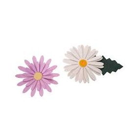 MARGHERITA ASS. CM 30