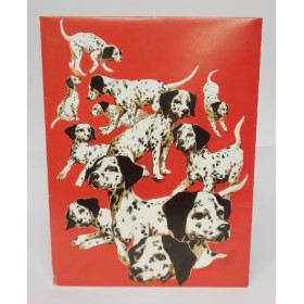 BUSTE 10/10 FANTASIA DALMATA