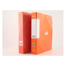 RACCOGLITORI A CASS. D.5 EUROPA ROSSO