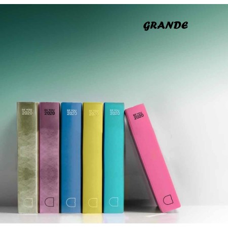 DIARI BEU 2019 ASS. A GRANDE