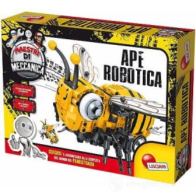 MAESTRI DI MECCANICA APE ROBOTICA