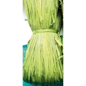 RAFIA NATURALE 50GR VERDE ACIDO
