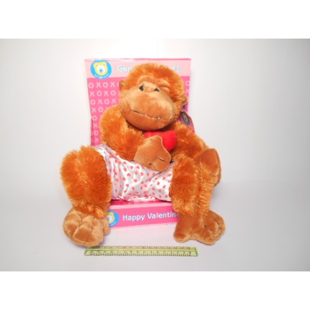 SCIMMIA IN DISPLAY BOX