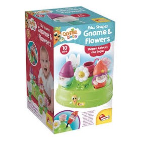 CAROTINA EDU SHAPES GNOME AND FLOWERS