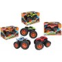 AUTO 4X4 MONSTER RUOTE GIGANTI