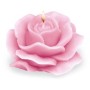CANDELA ROSA PROFUMATA.