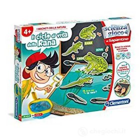 328 CICLO RANA CON MAGNETI