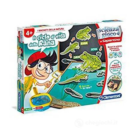 328 CICLO RANA CON MAGNETI