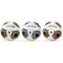 081 PALLONE CUOIO GOAL
