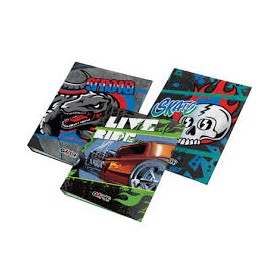 CARPETTE C/ELASTICO 21X31 GOPOP ASS. BOY