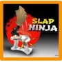 SLAP NINJA
