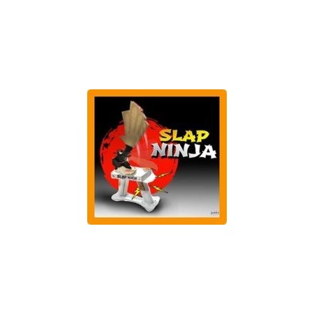 SLAP NINJA
