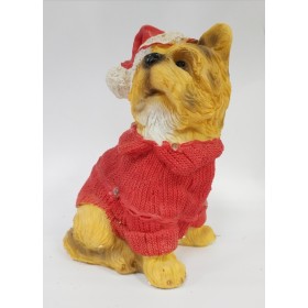 CANI CON GIACCA ROSSA.