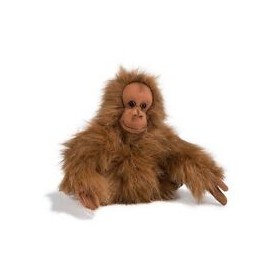 0171 ORAZIO ORANGOTANGO 25CM