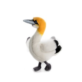 PELUCHE MORUS UCCELLO MARINO 23CM