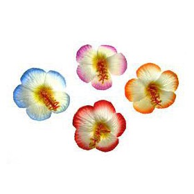 FARFALLE C/PINZETTA SET 2 PZ FIORI