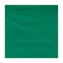 TOVAGLIOLI 25X25 VERDE PZ.100