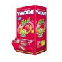 GOMME VIVIDENT BLAST FRUIT 200PZ