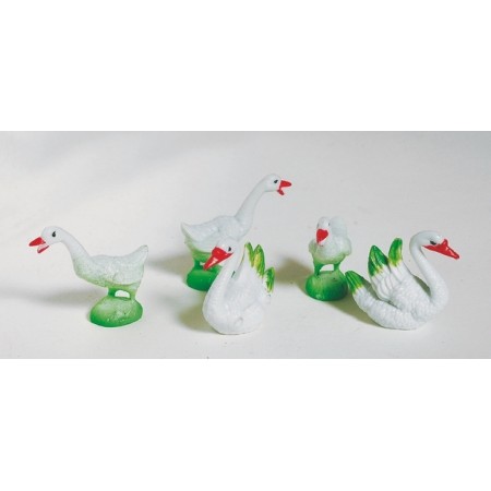 5 OCHE CM.4 IN BLISTER MO