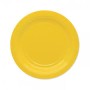 PIATTI GRANDI GIALLI BIO PZ.15