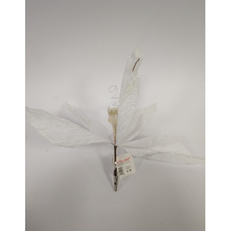 ROSE GAMBO CORTO 4 ASS.