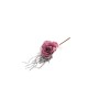 PICK ROSA GAMBO CORTO CON RAMETTI FUXIA