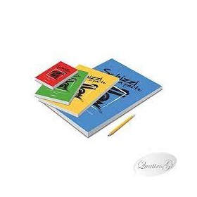 BLOCCHI SCHIZZI 29X42 BLASETTI