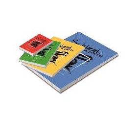 BLOCCHI SCHIZZI 15X21 BLASETTI