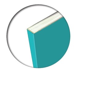 MAXI ONE COLOR BROSSURATI BLASETTI 1R