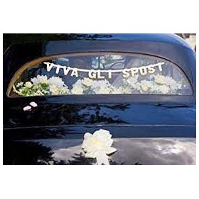 FESTONE W GLI SPOSI C/VENTOSA