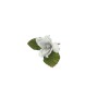 MAGNOLIA C/CLIP 6CM BIANCO/ARGENTO