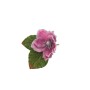 MAGNOLIA C/CLIP 6CM ROSA/ARGENTO