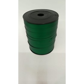 NASTRI X CONF. 250Y SATINATO INAB VERDE