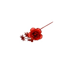 ROSA GAMBO CORTO ROSSO