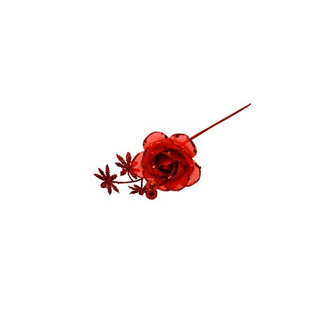 ROSA GAMBO CORTO ROSSO