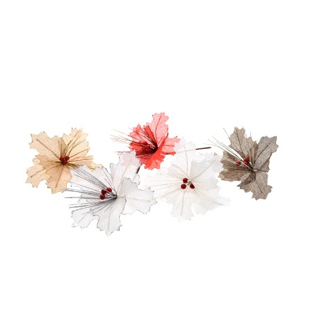 FIORE GAMBO CORTO 5ASS