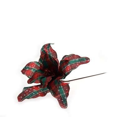 STELLA SCOZZESE BIG GAMBO LUNGO VERDE