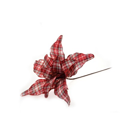 STELLA SCOZZESE BIG GAMBO LUNGO ROSSO SCURO